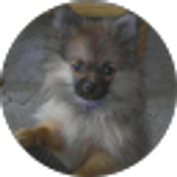 Profile photo of Sandra Jones