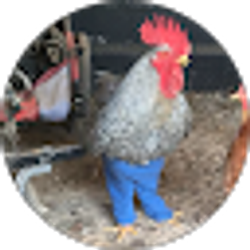 Profile photo of Peri Ann Unfred