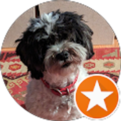 Profile photo of Rebecca