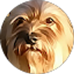 Profile photo of Ricky Piña
