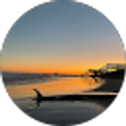 Profile photo of Brian Horton