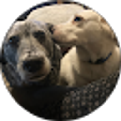 Profile photo of Jenny Moffitt