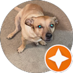 Profile photo of RacHEL