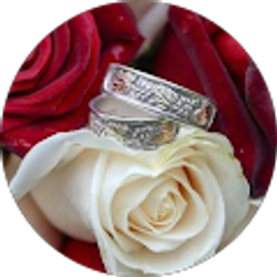 Profile photo of Terry Pierce