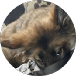 Profile photo of Carson Fain