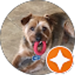 Profile photo of Kent Johnson (flash)