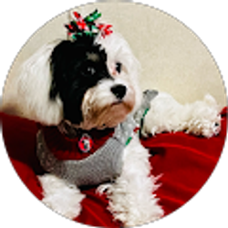 Profile photo of William Pfingston