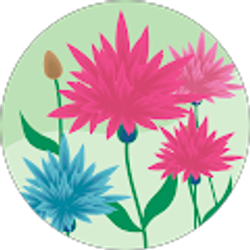 Profile photo of Emily Cardigan