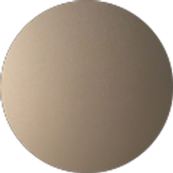 Profile photo of Syed Rizvi