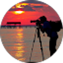 Profile photo of Brenda Delores Poole