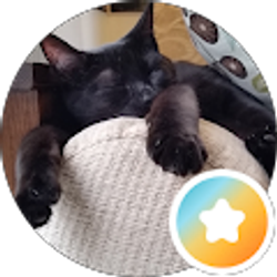 Profile photo of MJ C