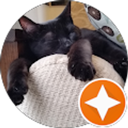 Profile photo of MJ C