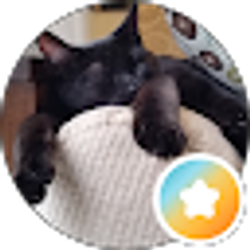 Profile photo of MJ C