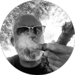 Profile photo of D Williams