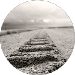 Profile photo of Matt C