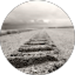 Profile photo of Matt C