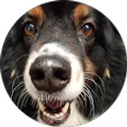 Profile photo of Sue Ervin