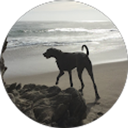 Profile photo of Michele Davidson