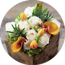 Profile photo of Jessica Besse