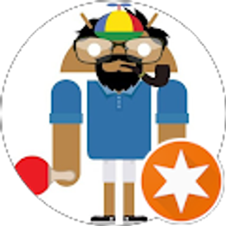 Profile photo of Mehdi AMINI