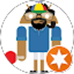 Profile photo of Mehdi AMINI