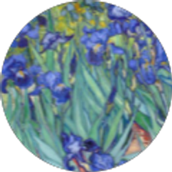 Profile photo of Anastazia Badeau