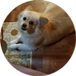 Profile photo of Cammy Smith