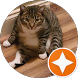 Profile photo of Vivian Crosby