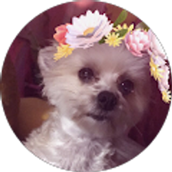 Profile photo of Angelika Liz