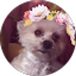 Profile photo of Angelika Liz