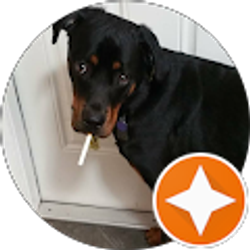 Profile photo of Dan