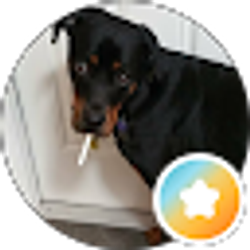 Profile photo of Dan