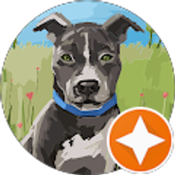 Profile photo of Dana Brown