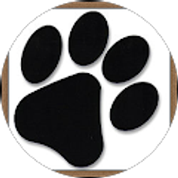 Profile photo of Amy Braschler