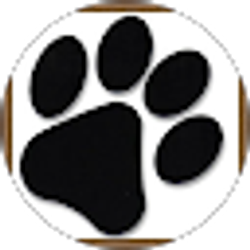 Profile photo of Amy Braschler