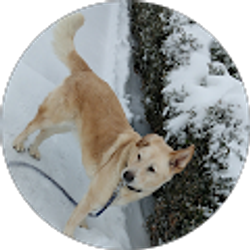 Profile photo of Nelida Sargent