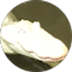 Profile photo of Robert Cinfio (Scott)