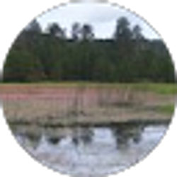 Profile photo of Emily Ellingson