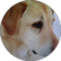 Profile photo of darlene brown