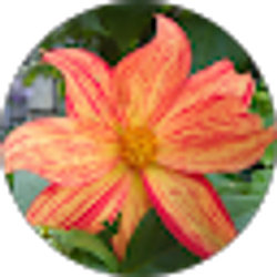 Profile photo of Lisa Fancher