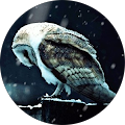 Profile photo of thefishkiller 98