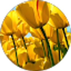 Profile photo of Pippin Michelli