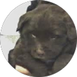 Profile photo of Stephanie SsS (Sassy1ohio)