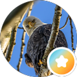 Profile photo of Steve