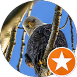 Profile photo of Steve