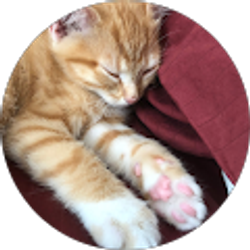 Profile photo of Karen Obrien