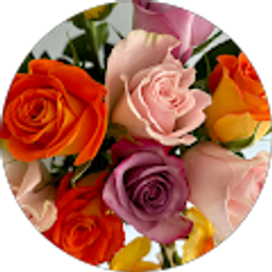 Profile photo of Julie Rudolph