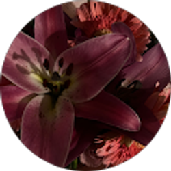 Profile photo of Jamie Gallegos