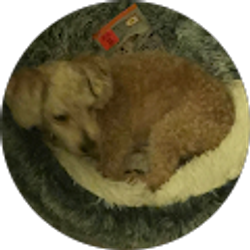 Profile photo of Wanda P