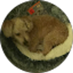 Profile photo of Wanda P